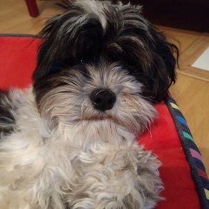 Meet your Posher, Lizeth